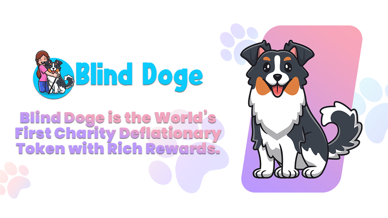 Blind Doge ($BDoge) Brings the World’s, First Charity Deflationary Token