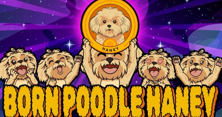 🌟 Introducing Poodle Haney: The Next Big Meme Coin! 🌟 | Join the Presale Now!