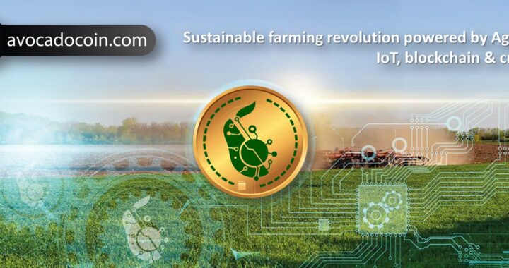 AvocadoCoin: The Ultimate Fusion of Blockchain and Sustainable Agriculture