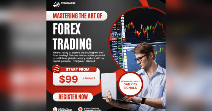 Best Forex Trading Signals Providers of 2024: Get Accurate Forex Signals