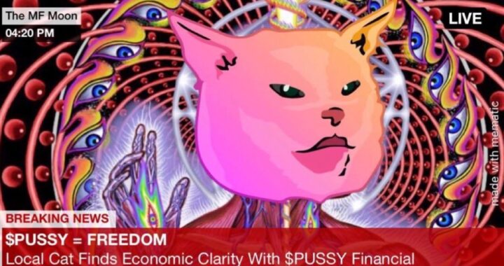 What is Pussy Financial (PUSSY)? Memecoin Cat on Ethereum Network