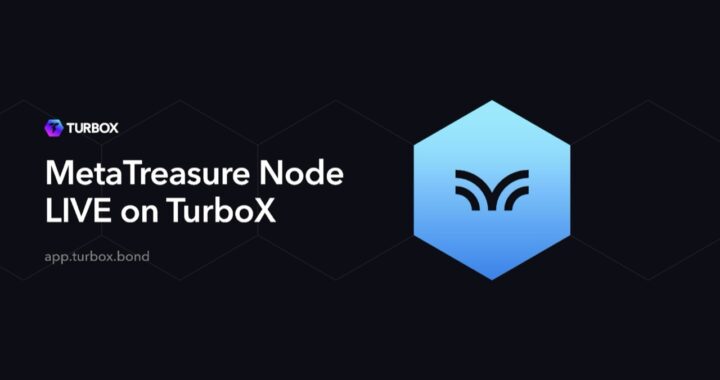 MetaTreasure Community Nodes Sell Out in Record Two Hours! A New Milestone in the PulseChain Ecosystem