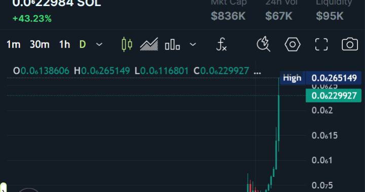 JAECOIN’s Soaring Price: Where Korean Politics and Cryptocurrency Meet