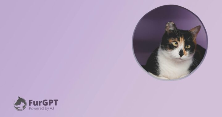 FurGPT (FGPT) Foundation Stops Theft of $55M Worth of Solana (SOL) Tokens